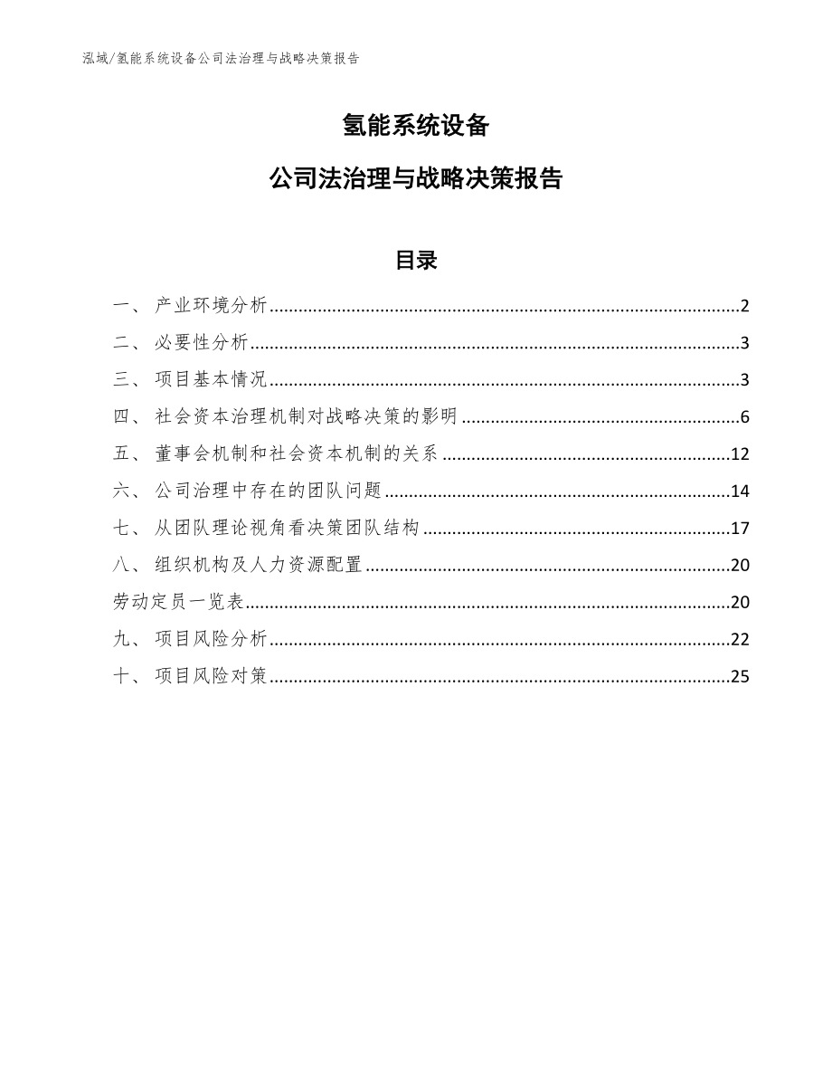 氢能系统设备公司法治理与战略决策报告（参考）_第1页