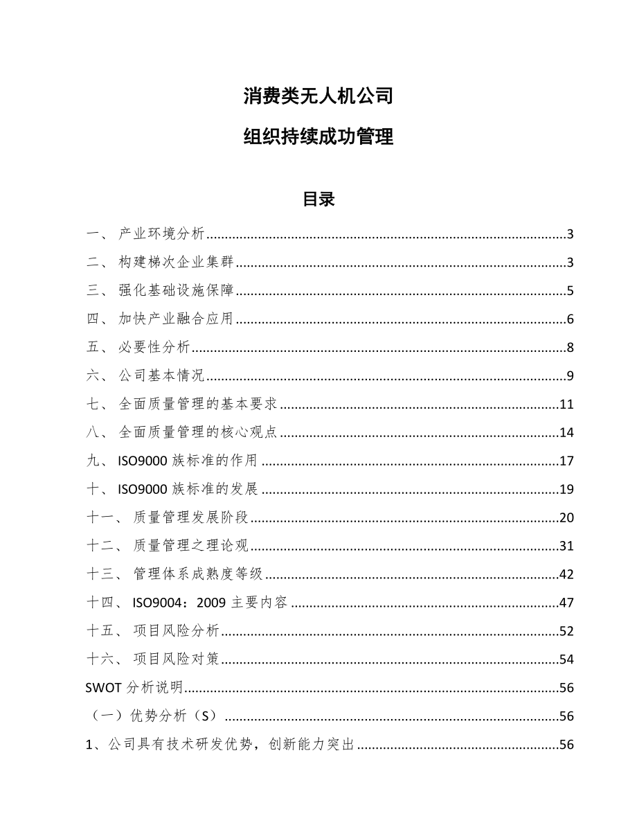 消费类无人机公司组织持续成功管理_第1页