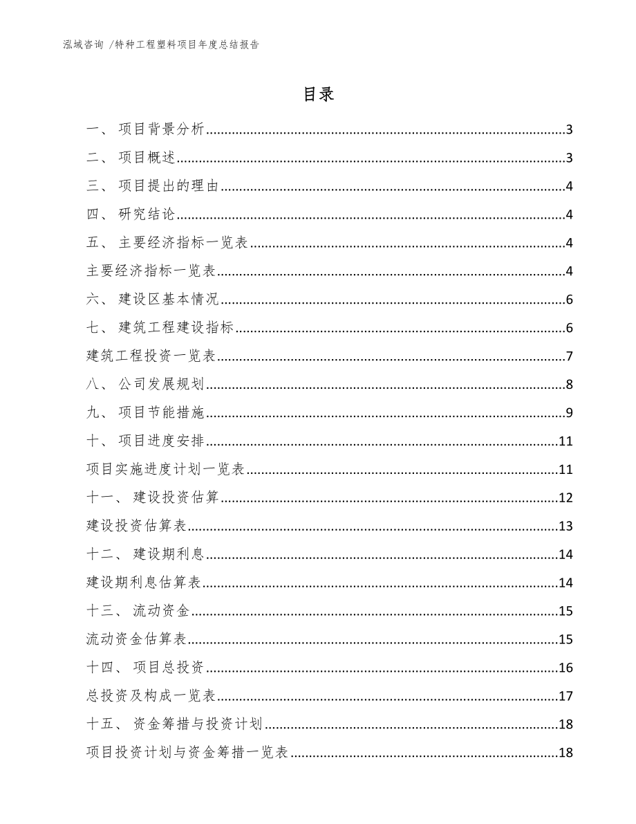 特种工程塑料项目年度总结报告_第1页