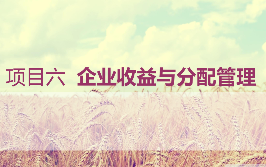六企业收益与分配管理_第1页