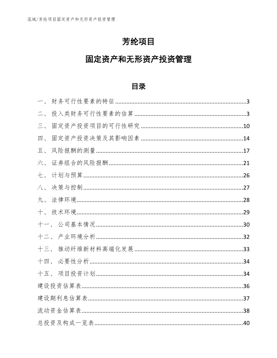 芳纶项目固定资产和无形资产投资管理_第1页