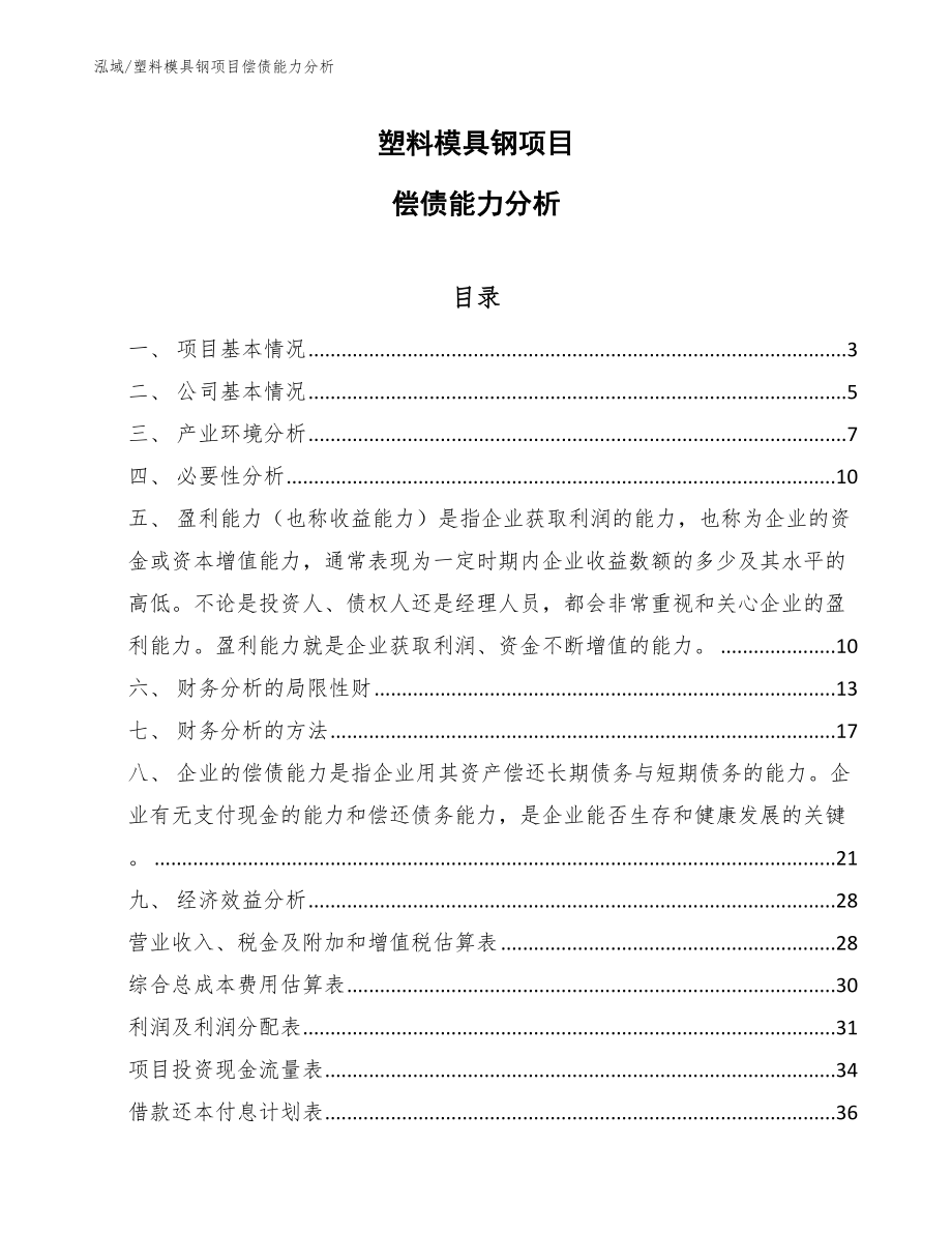 塑料模具钢项目偿债能力分析（参考）_第1页