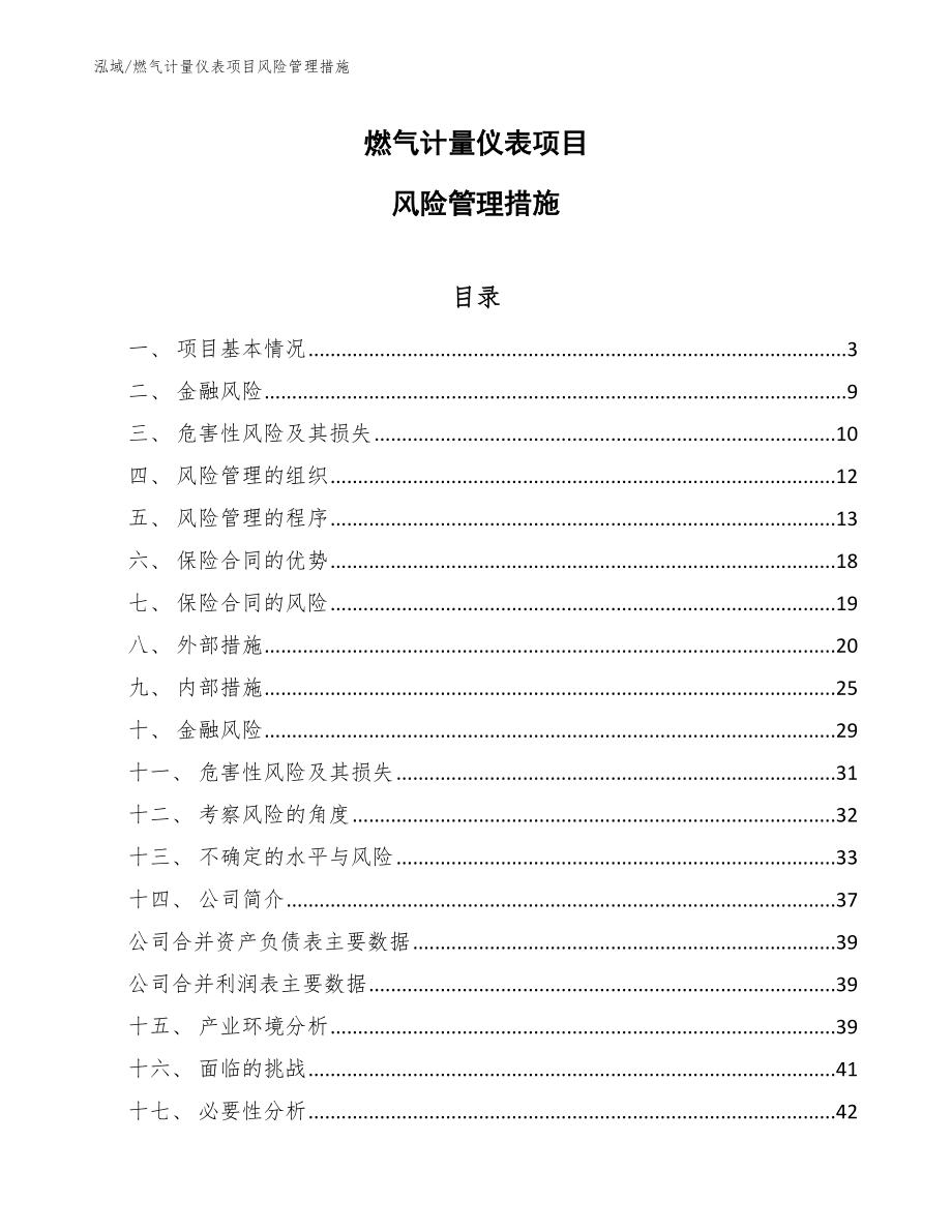 燃气计量仪表项目风险管理措施_第1页