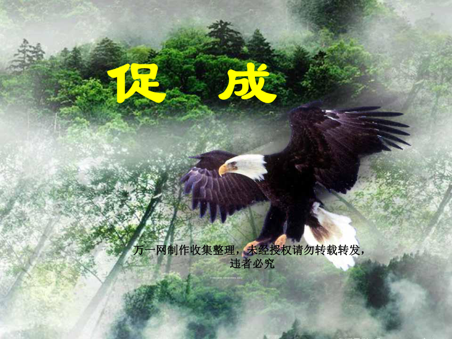 保险营销促成成交的六大方法31页_第1页