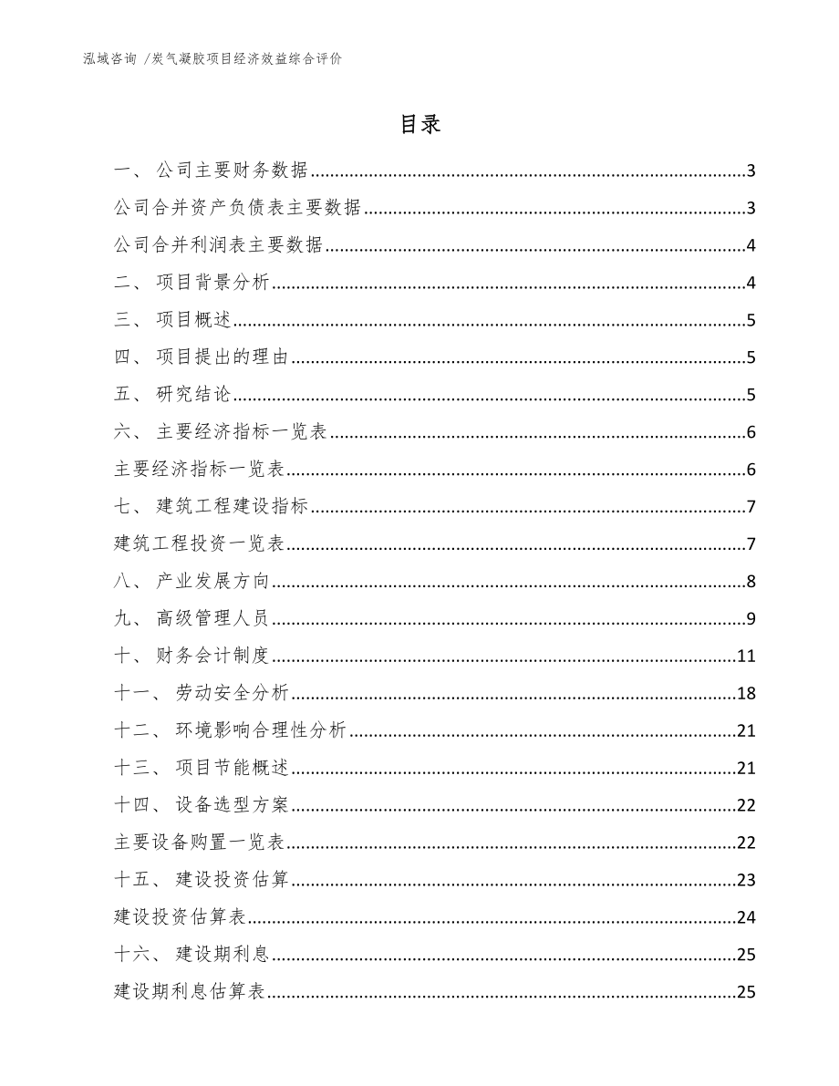 炭气凝胶项目经济效益综合评价_范文_第1页