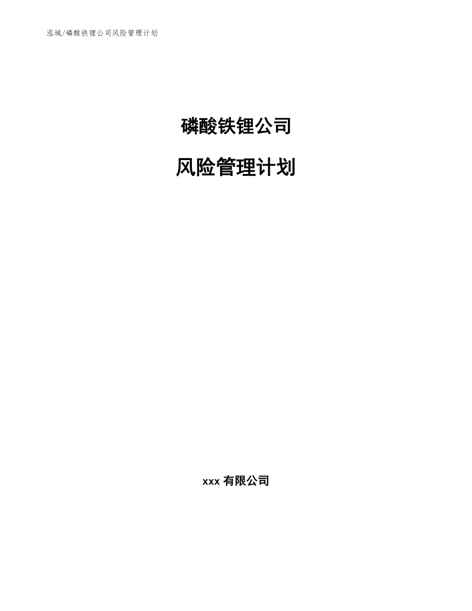 磷酸铁锂公司风险管理计划（范文）_第1页