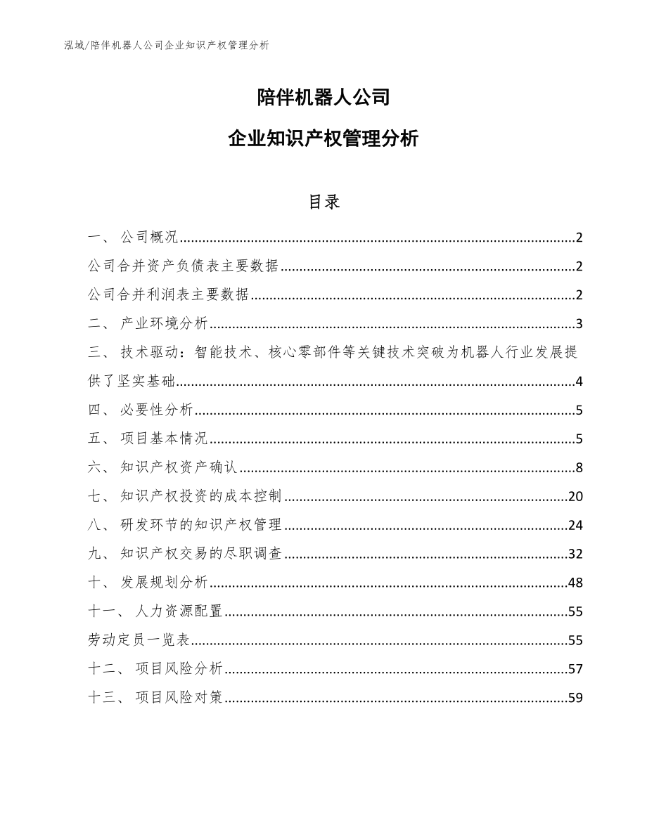 陪伴机器人公司企业知识产权管理分析（范文）_第1页