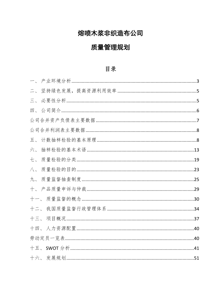 熔喷木浆非织造布公司质量管理规划_参考_第1页