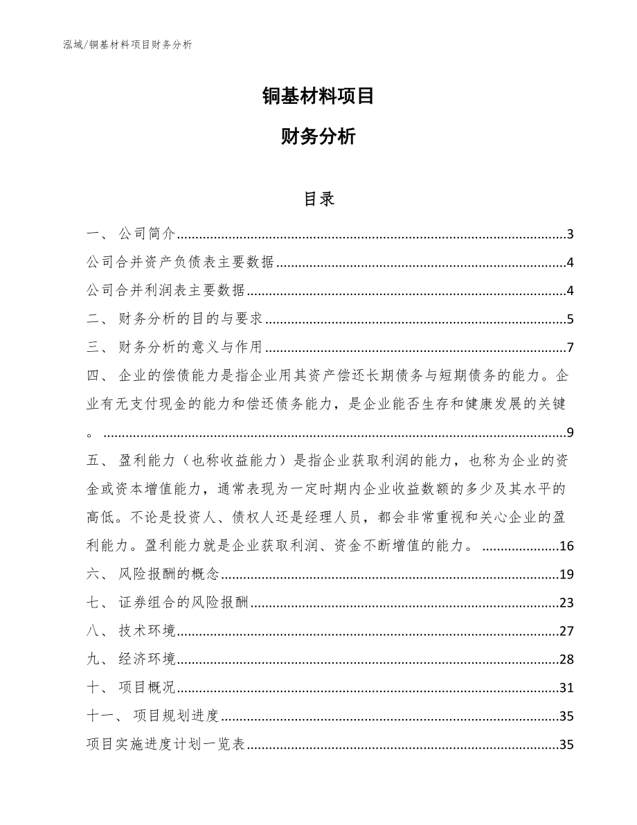 铜基材料项目财务分析（范文）_第1页