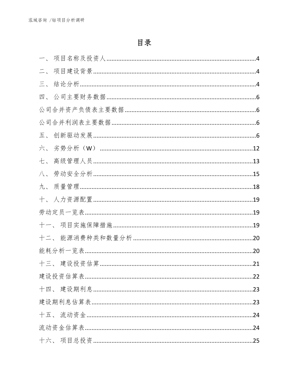 钴项目分析调研_第1页