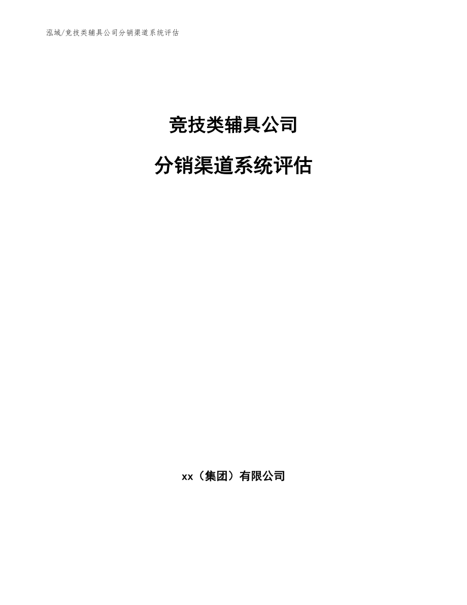 竞技类辅具公司分销渠道系统评估_第1页