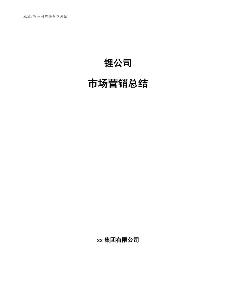 锂公司市场营销总结_第1页
