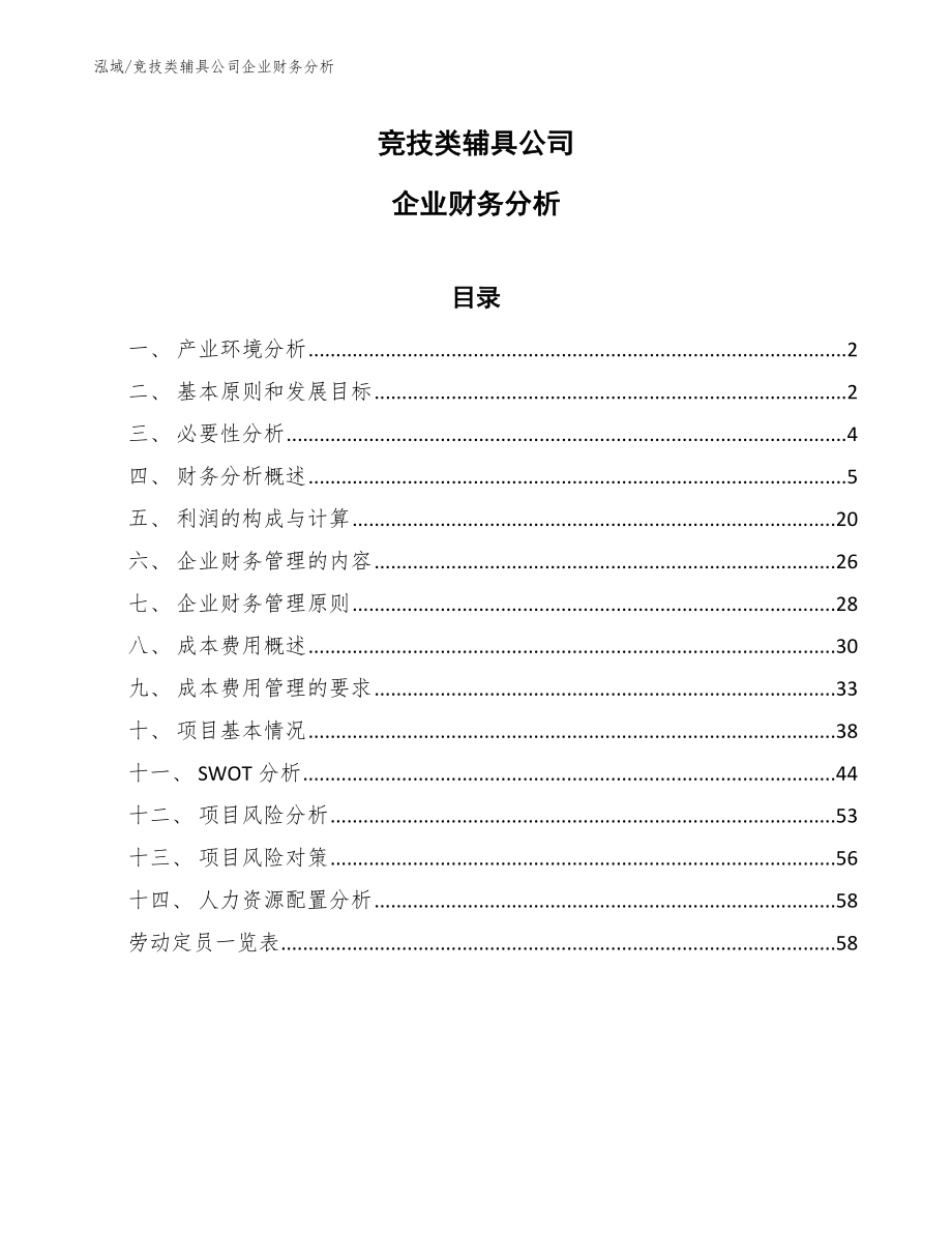 竞技类辅具公司企业财务分析_第1页