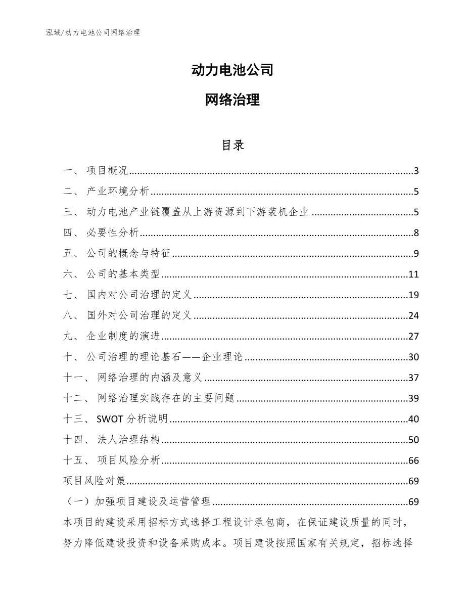 动力电池公司网络治理（范文）_第1页