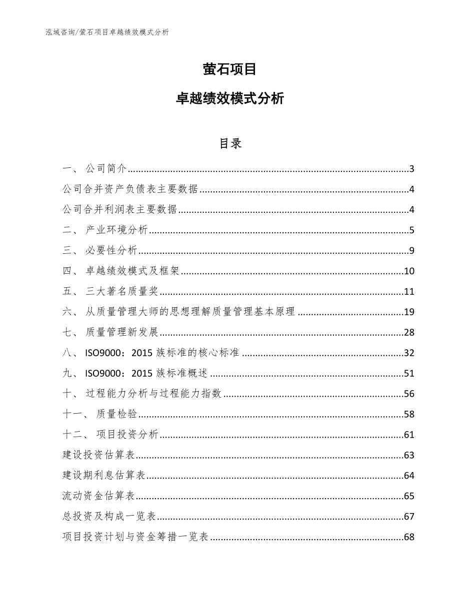 萤石项目卓越绩效模式分析（参考）_第1页