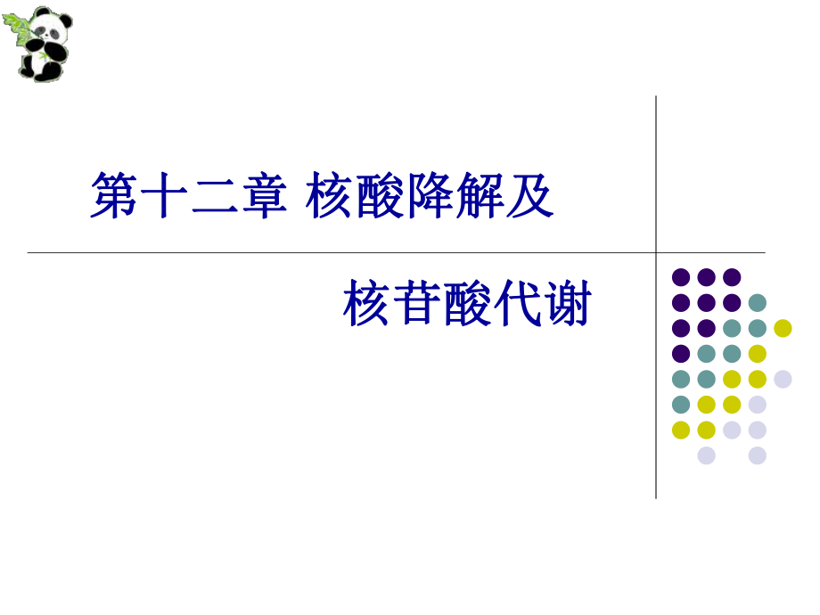 生物化学 第十二章 核酸降解及核苷酸代谢课件_第1页