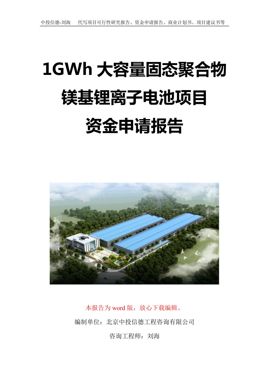 1GWh大容量固态聚合物镁基锂离子电池项目资金申请报告写作模板定制_第1页