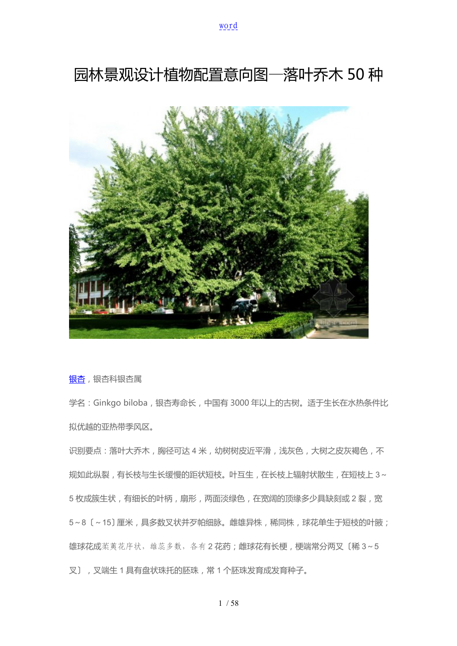 园林景观植物配置意向图落叶乔木50种_第1页