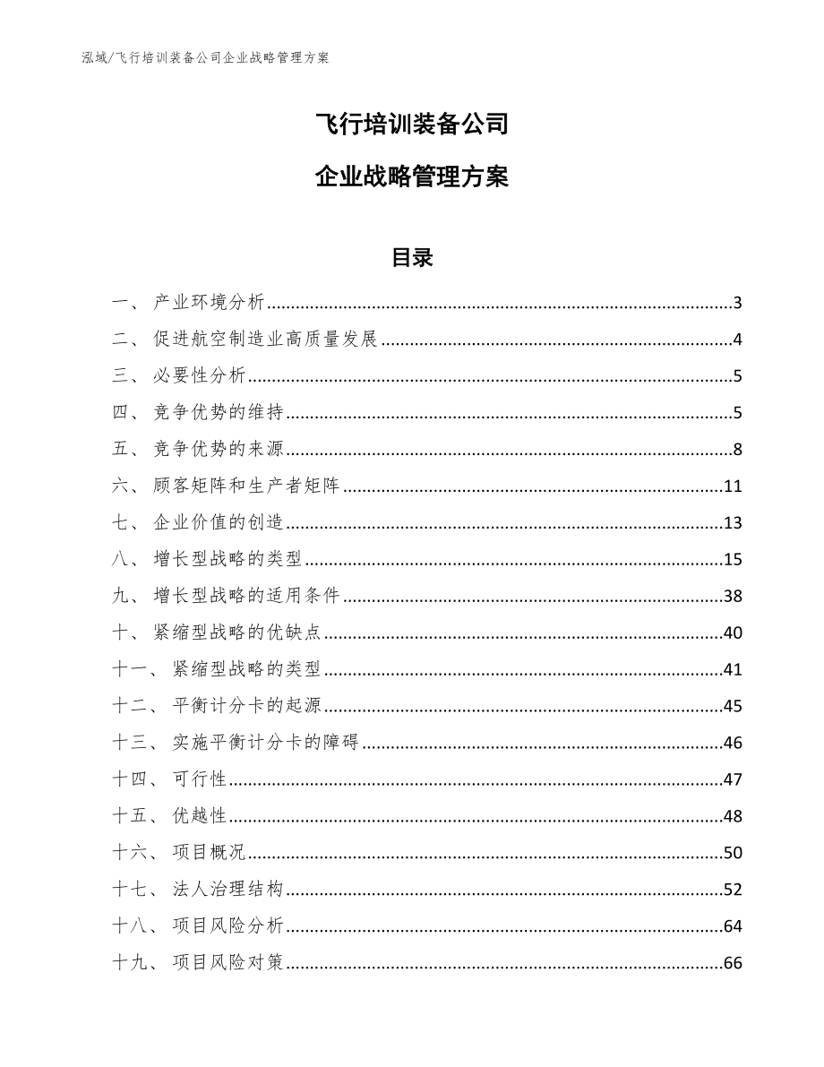 飞行培训装备公司企业战略管理方案_第1页