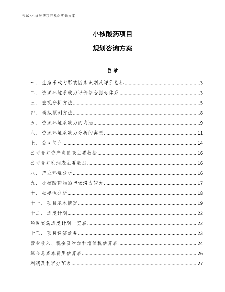 小核酸药项目规划咨询方案（范文）_第1页
