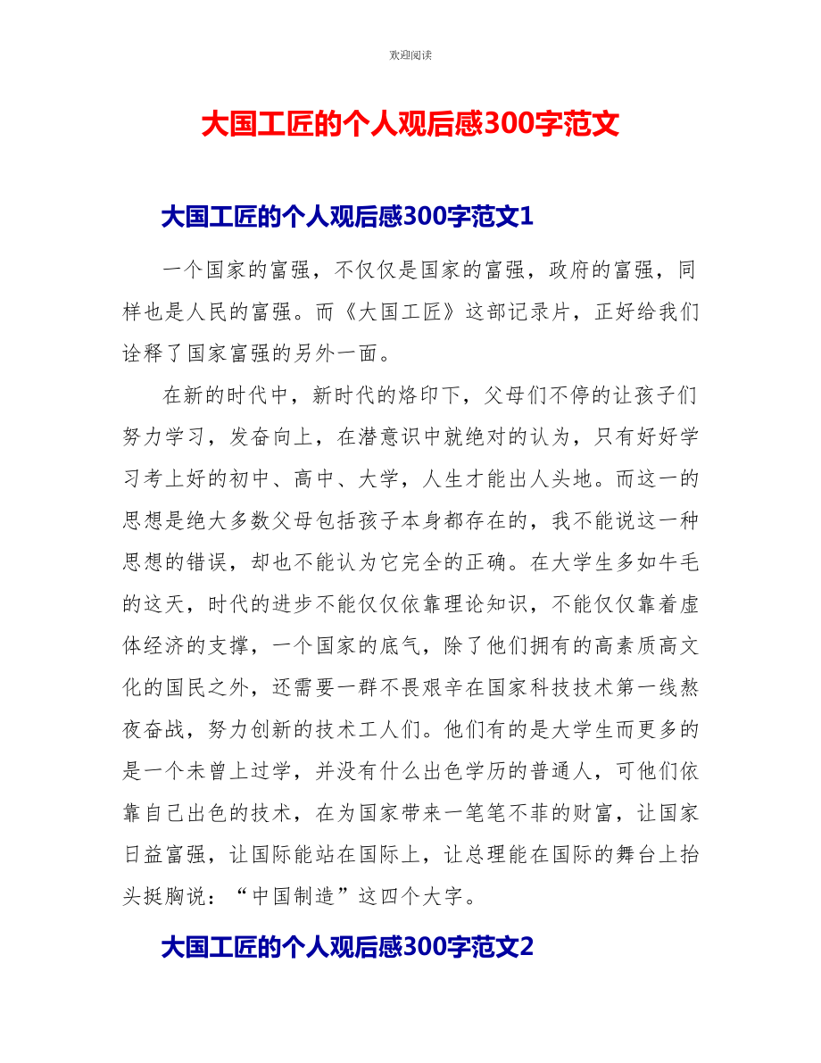 大国工匠的个人观后感300字范文_第1页