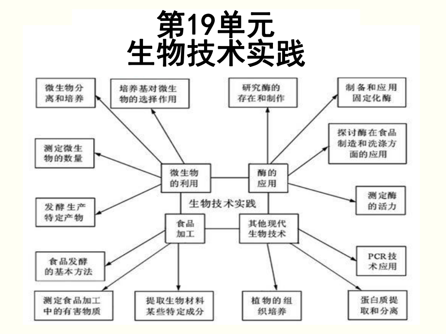 《生物技术实践》PPT课件_第1页