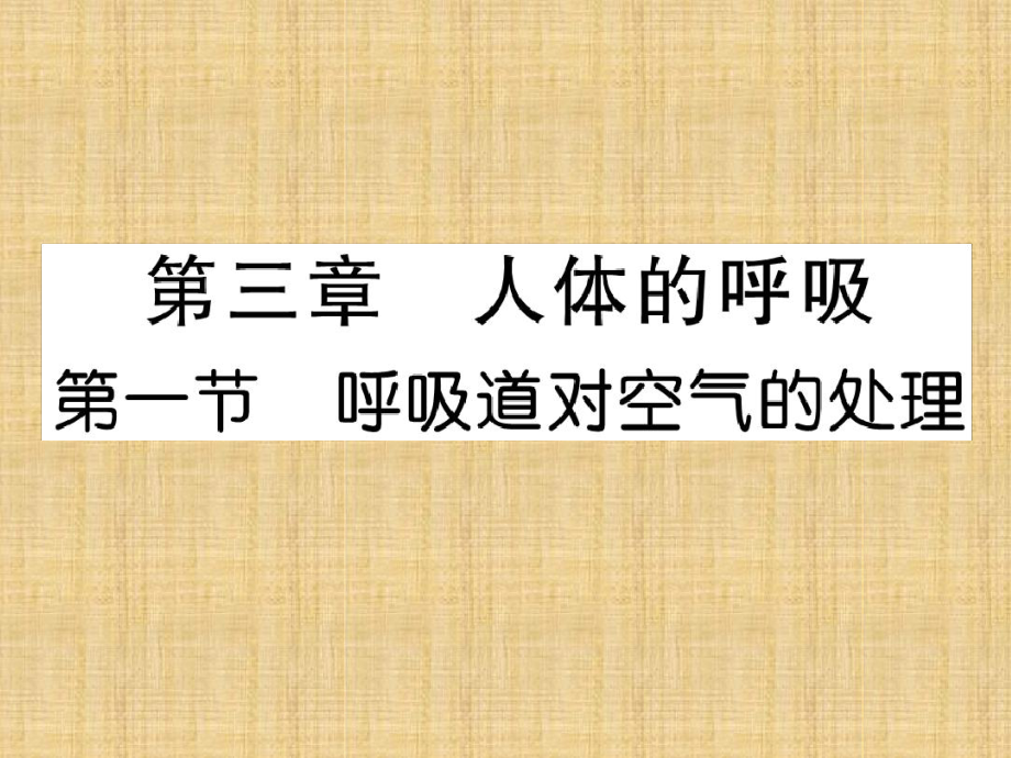 初中七年级生物下册第三章第一节呼吸道对空气的处理名师优质课件新版新人教版_第1页