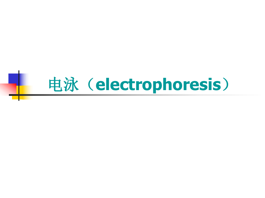 《电泳技术方王楷》PPT课件_第1页