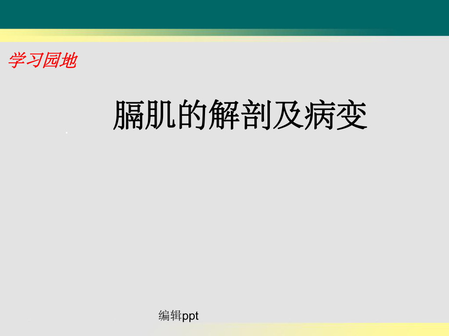 培训膈肌的解剖及病变陶磊_第1页