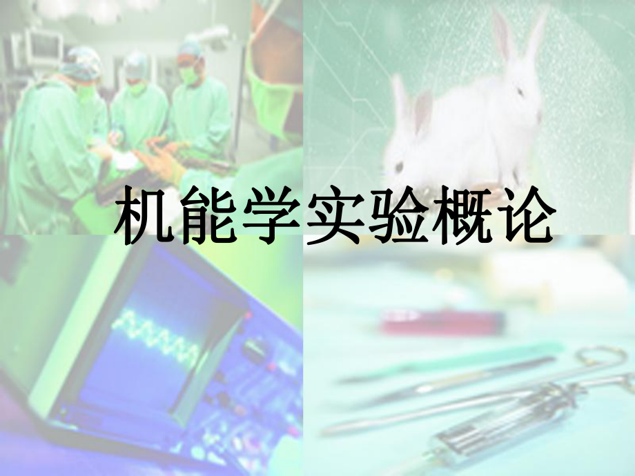 《生理学实验概述》PPT课件_第1页