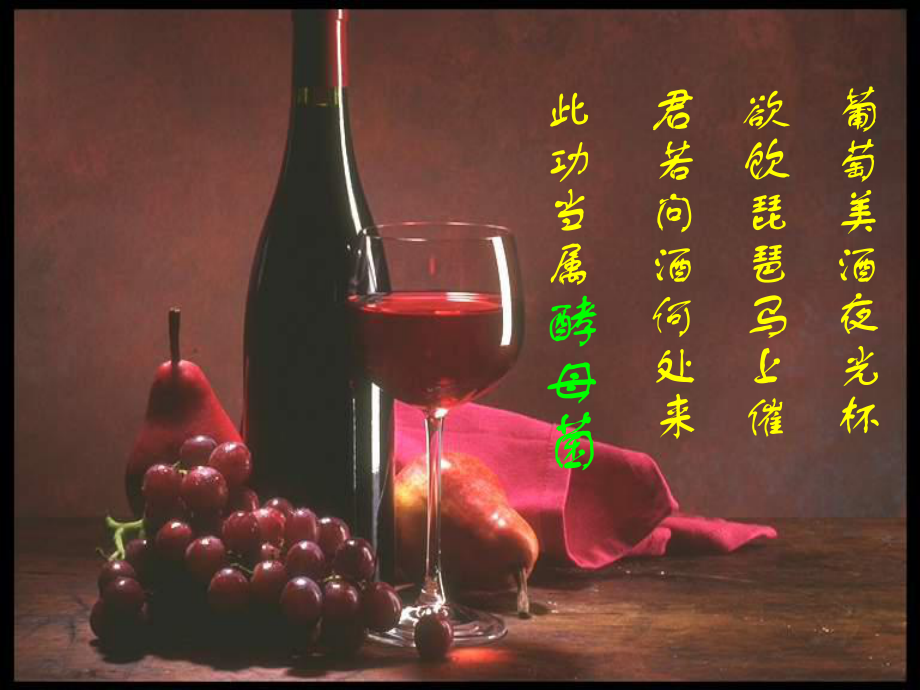 果酒和果醋的制作_第1页