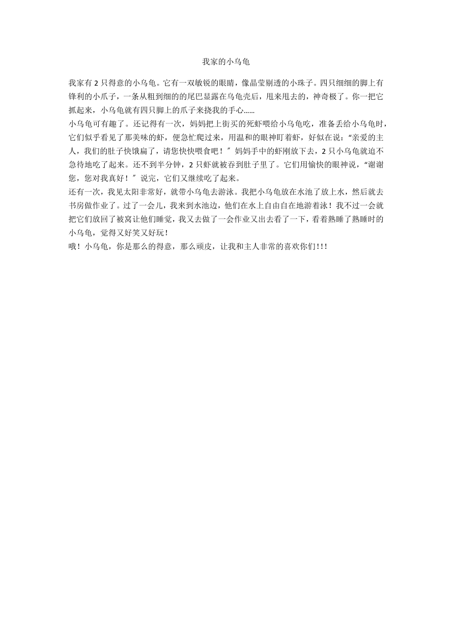 我家的小乌龟_第1页