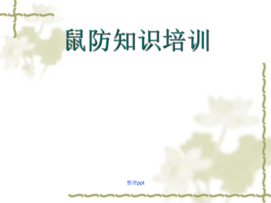 防鼠疫知识培训_第1页