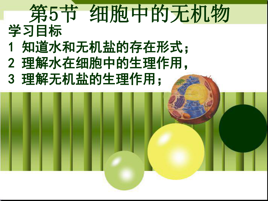 生物必修一细胞中的无机物_第1页