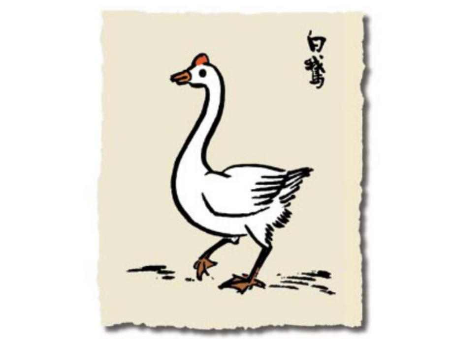 人教版四年级课文《白鹅》_第1页