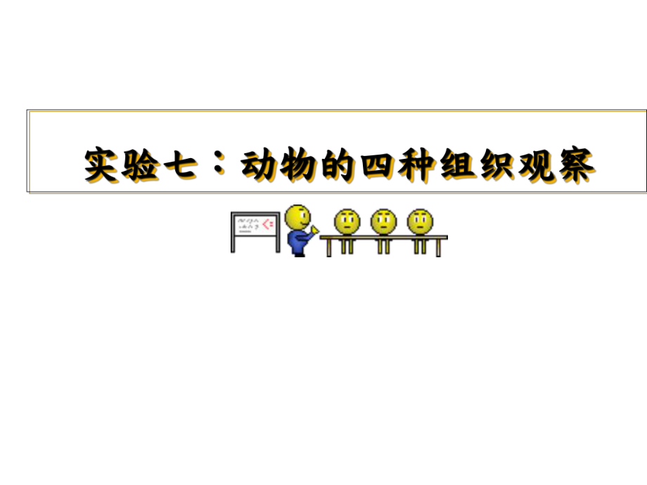 实验七、动物四大基本组织观察(PPT32页)_第1页