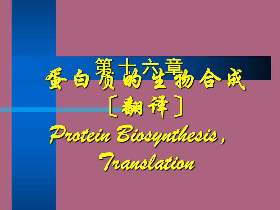 药学第16章蛋白质的生物合成ppt课件_第1页