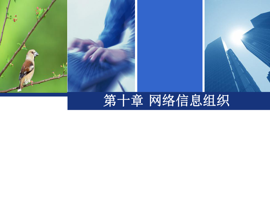 信息组织原理_第10章_网络信息组织_第1页