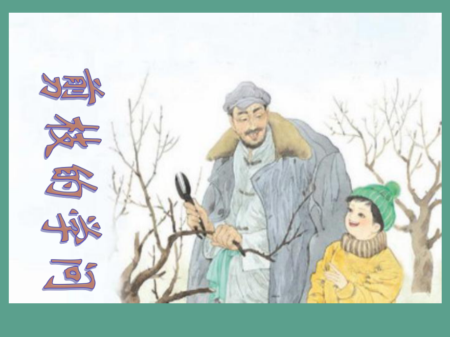 三年级下册语文26剪枝的学问2ppt课件_第1页