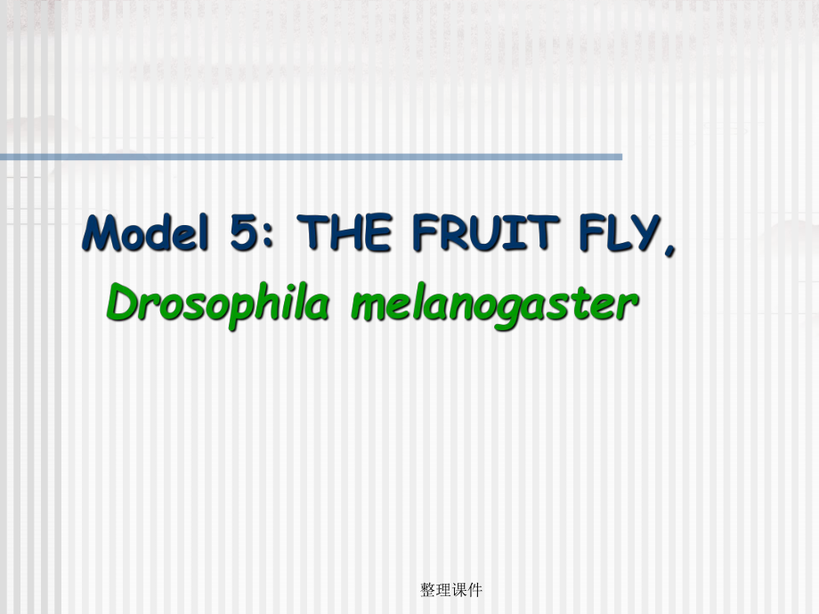 分子生物学3cha_第1页