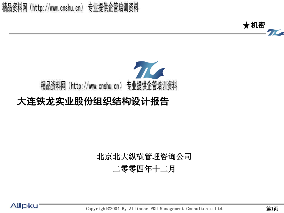 大连某公司组织结构设计报告_第1页