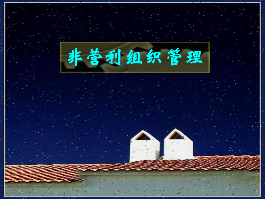 非营利组织管理课件_第1页