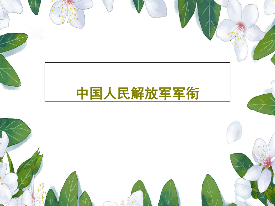 中国人民解放军军衔课件_第1页