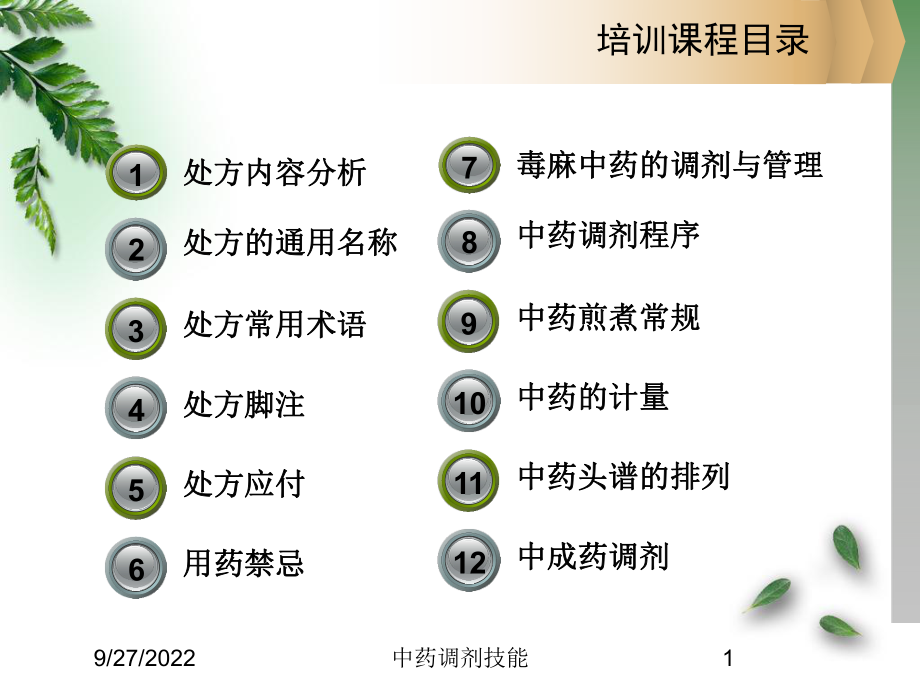 中药调剂技能ppt课件_第1页