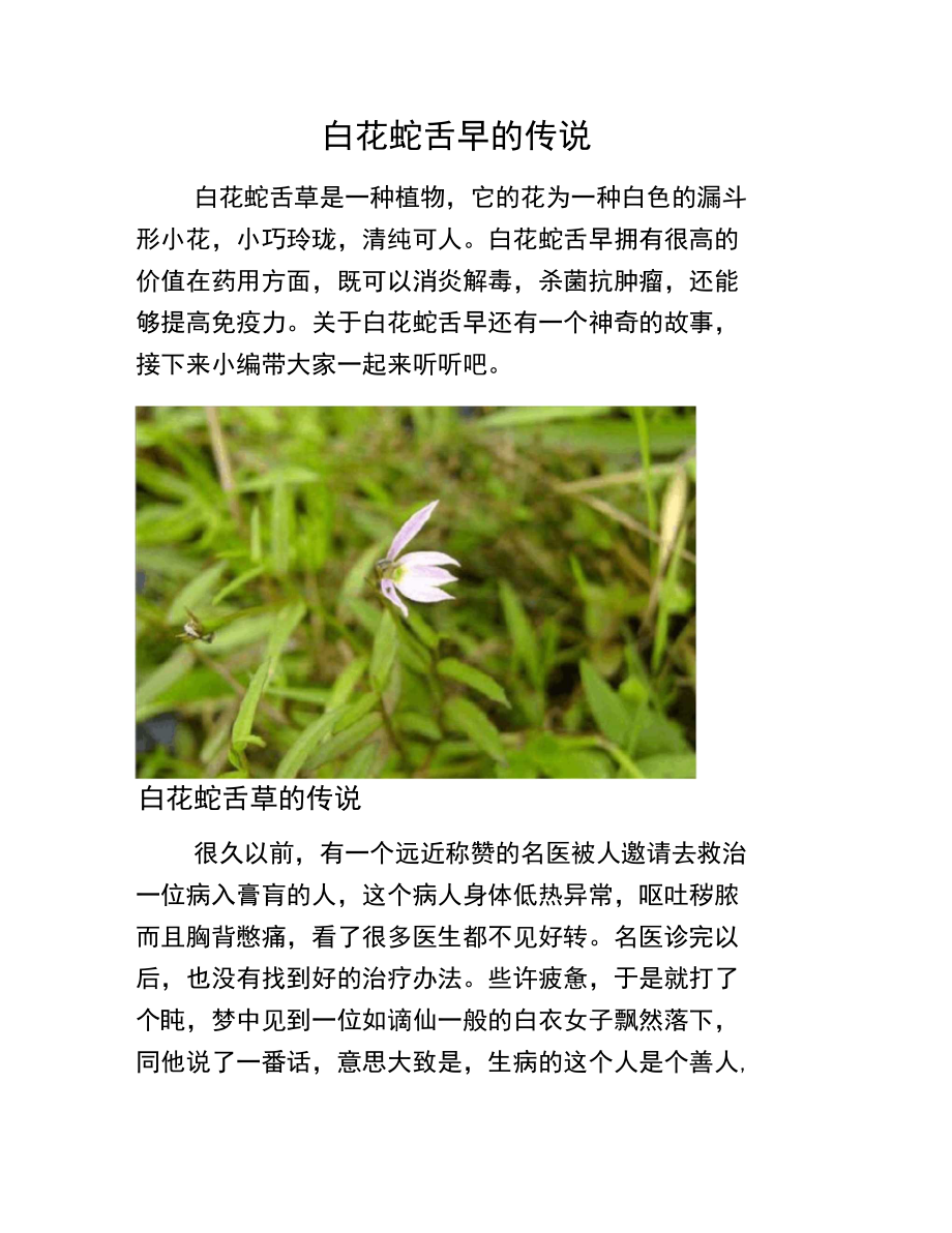 白花蛇舌草的传说_第1页