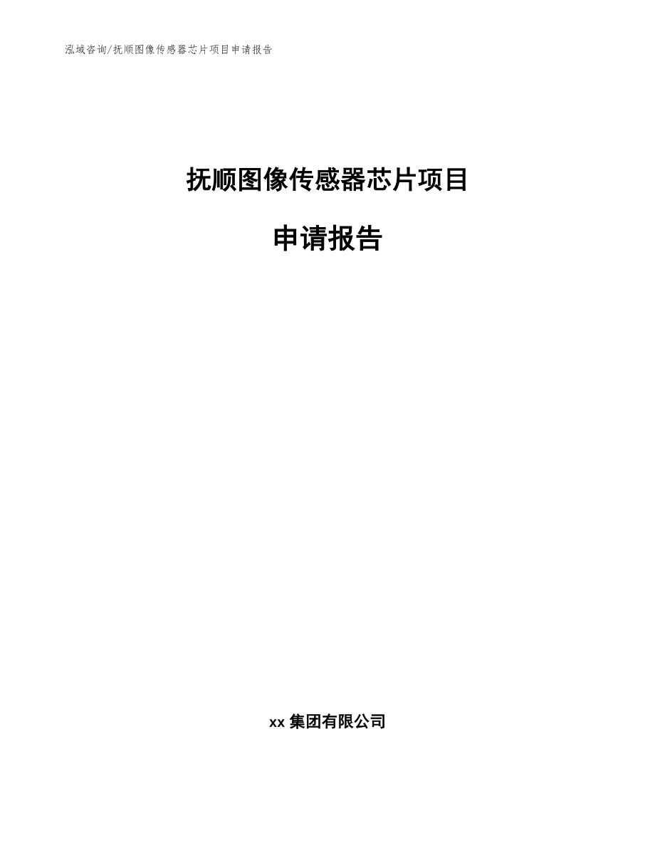 抚顺图像传感器芯片项目申请报告_范文参考_第1页