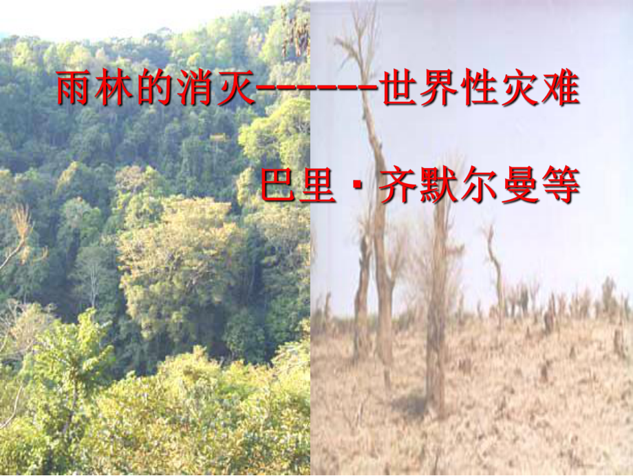 雨林的毁灭世界性灾难ppt课件_第1页
