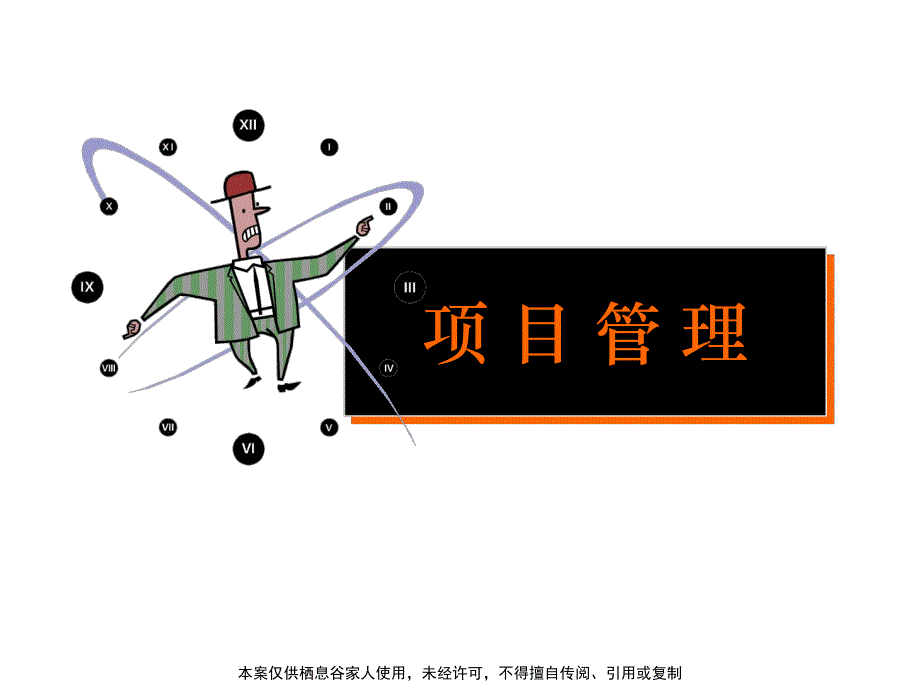 项目管理讲义_第1页