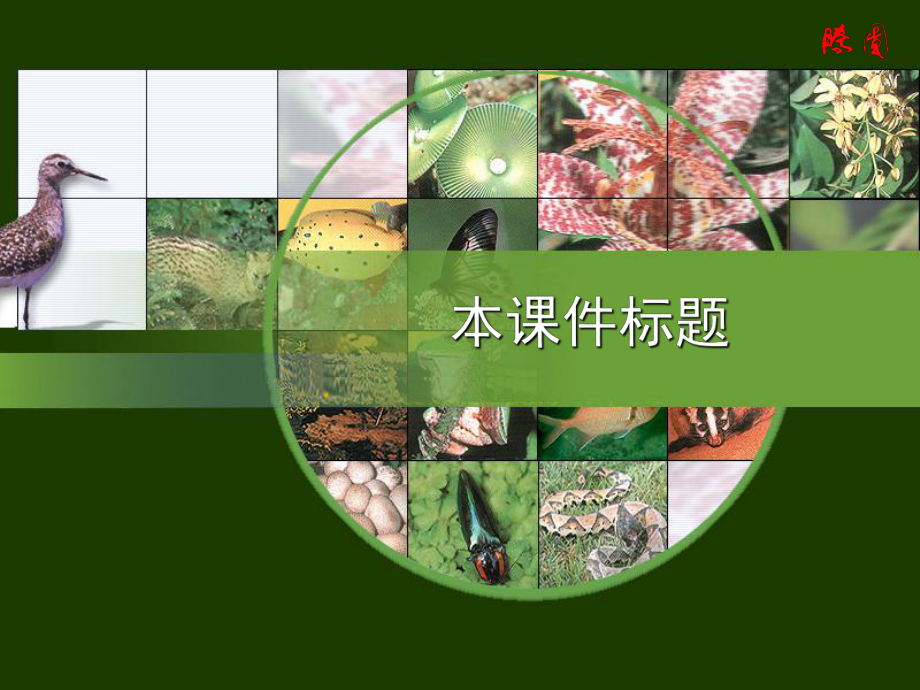 生物教学课件__PPT模板_第1页