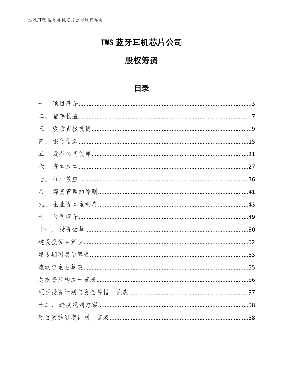 TWS蓝牙耳机芯片公司股权筹资【范文】_第1页